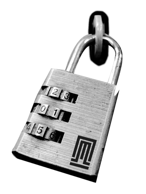 pexels-modun-studio-5192037-pichi